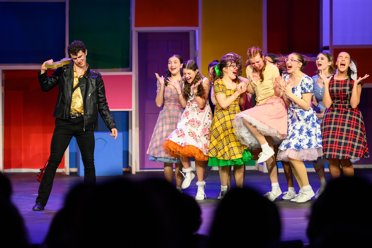 Bye Bye Birdie — production photo